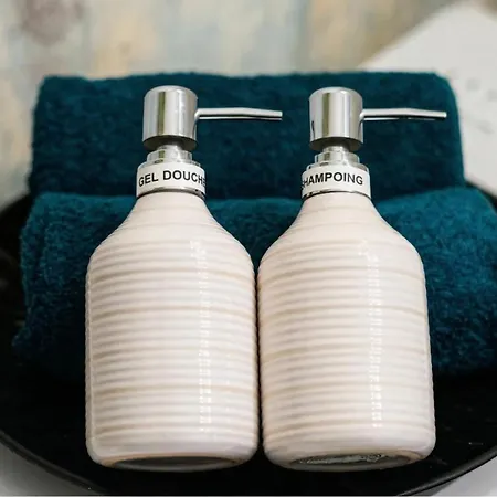 Cocon Cosy Hyper-centre Ideal 4 Personnes