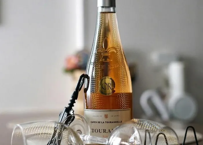 Daire Cocon Cosy Hyper-centre Ideal 4 Personnes Tours