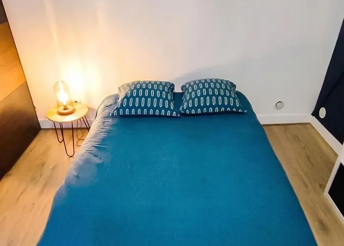 Daire Cocon Cosy Hyper-centre Ideal 4 Personnes