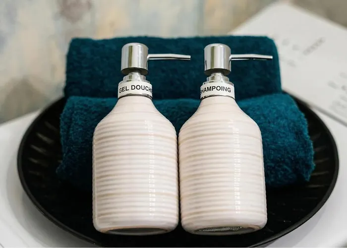 Cocon Cosy Hyper-centre Ideal 4 Personnes